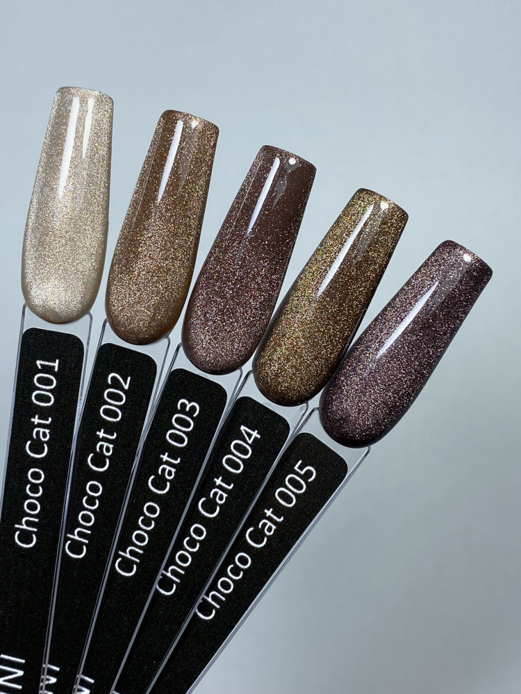 Choco Cat